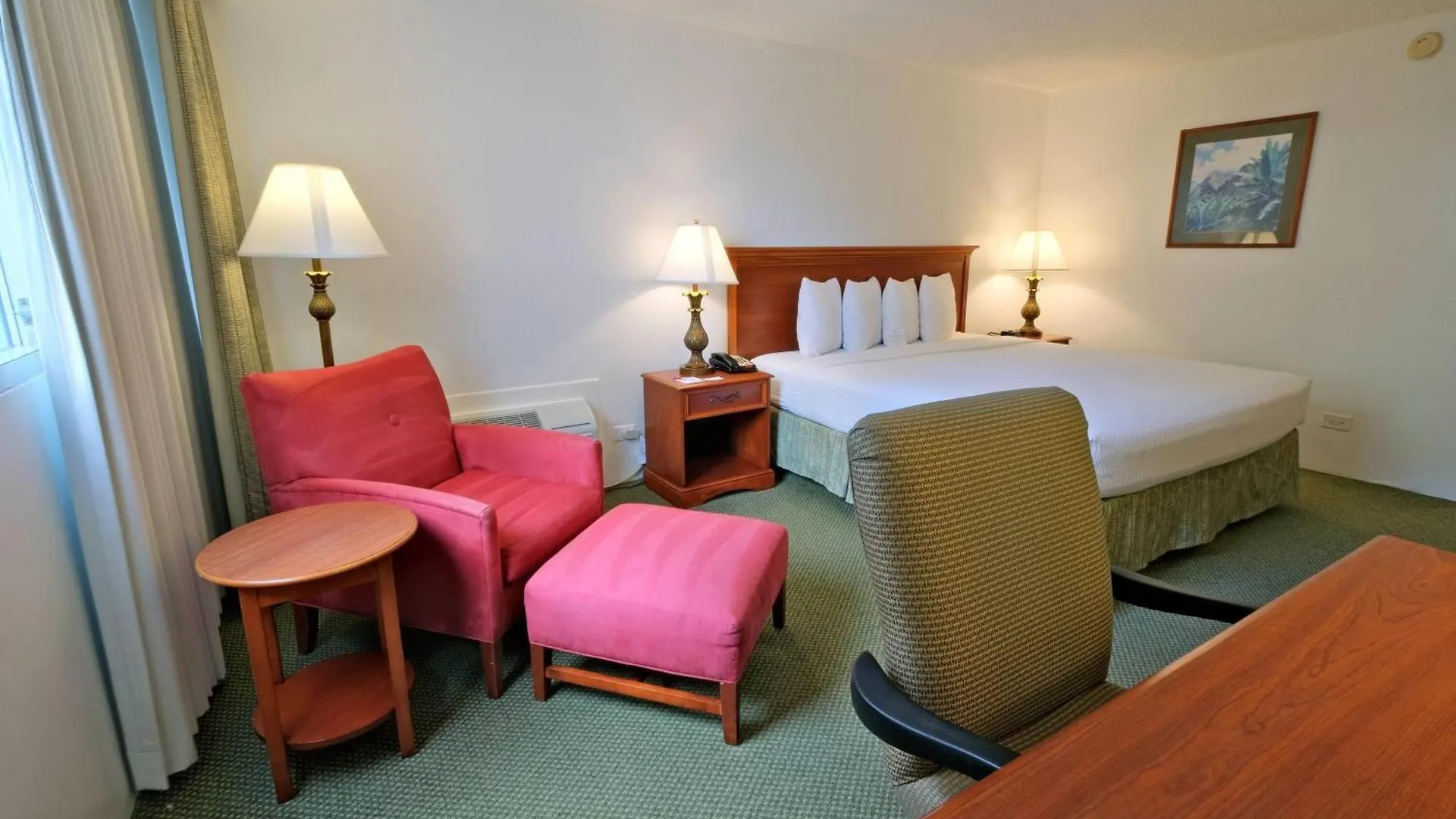 4 Smart Budget Hotels Near Ainahau Triangle Worth Booking